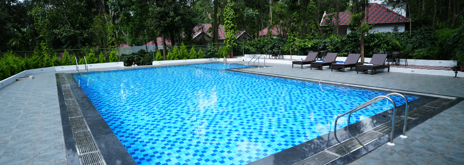 A wide view of an outdoor swimming pool area surrounded by trees and sun loungers in the evening light at Coorg Orange Blossom Resort and Spa.