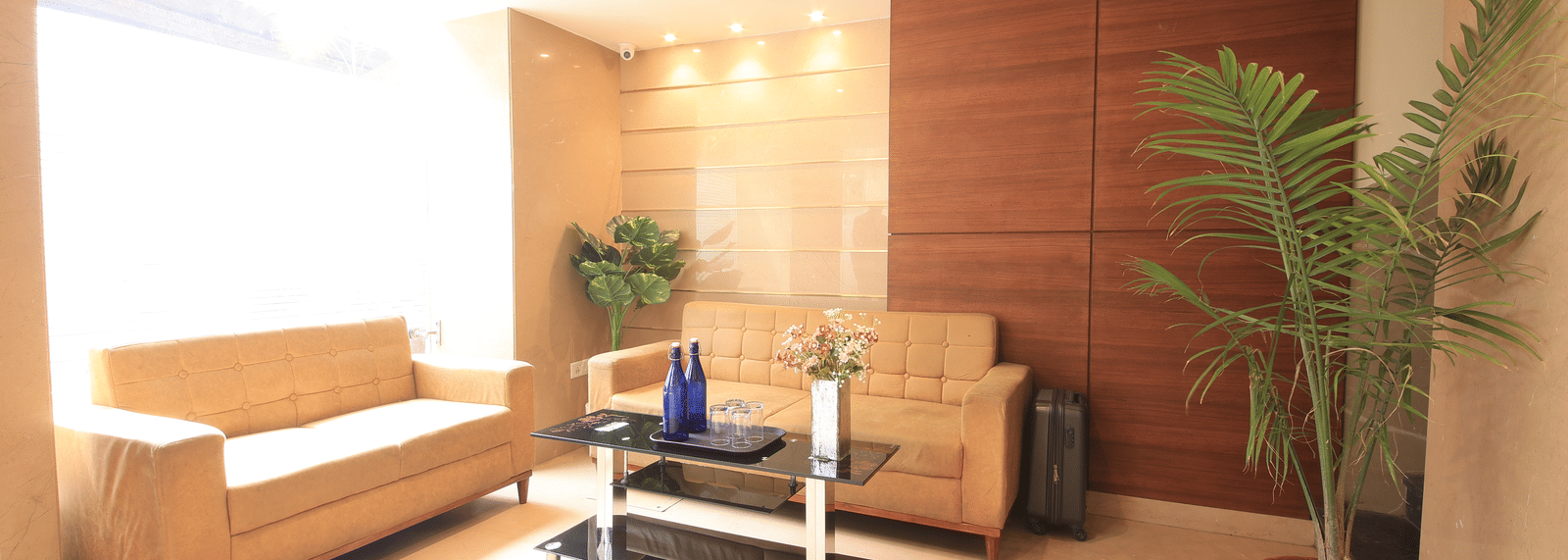 A hotel waiting area, featuring a brown sofa, a low black table, and a tall potted plant | Perfectstayz Value Sagar