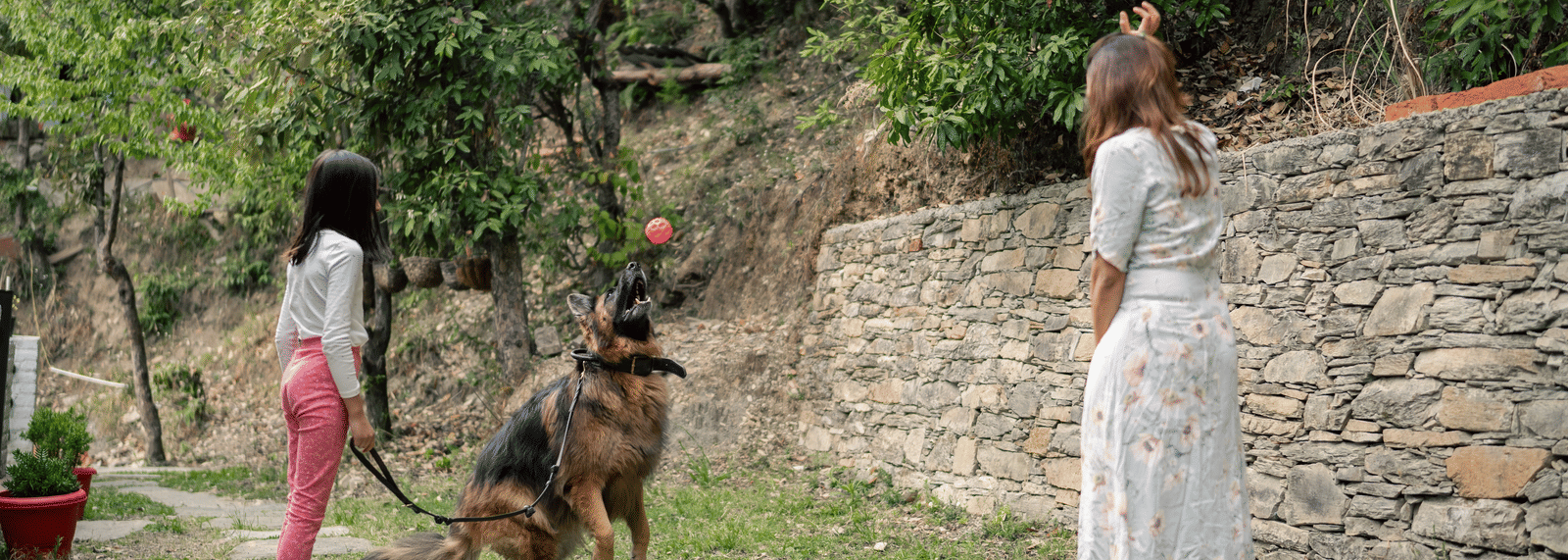 Two people playing with a dog in a grassy area at Ziran Retreat.