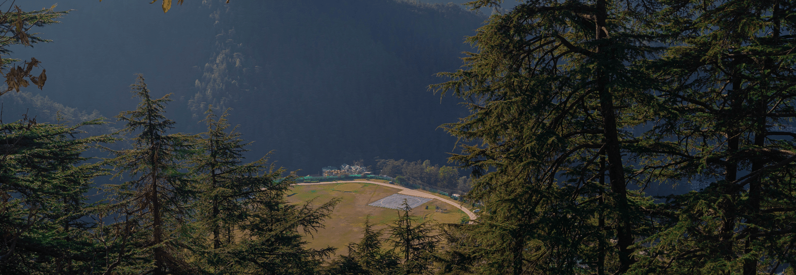 A forested hillside with tall pine trees and mountains near Perfectstayz Value Shimla (Namah Retreat).