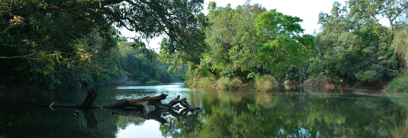 Cauvery Kadkani River Resort Coorg