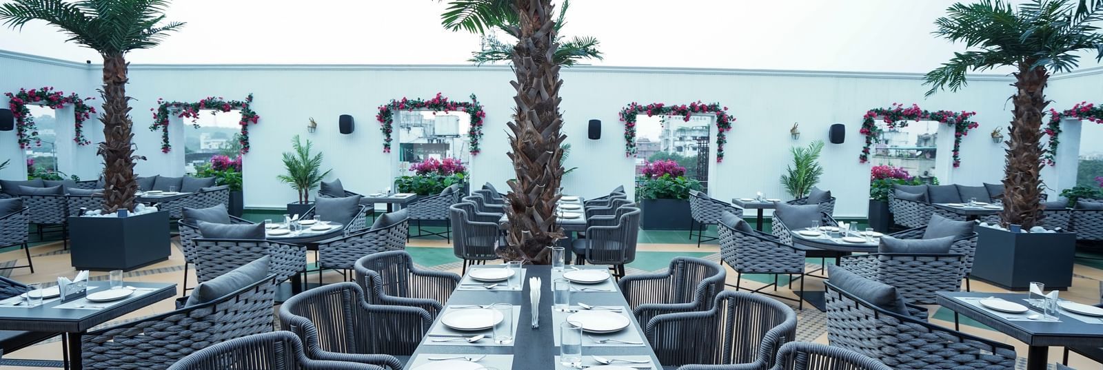 Front view shot of a dining table with a tree placed in front of it at the Sky Roof with a cloudy sky in the background at M2 Square by Monday Premium.