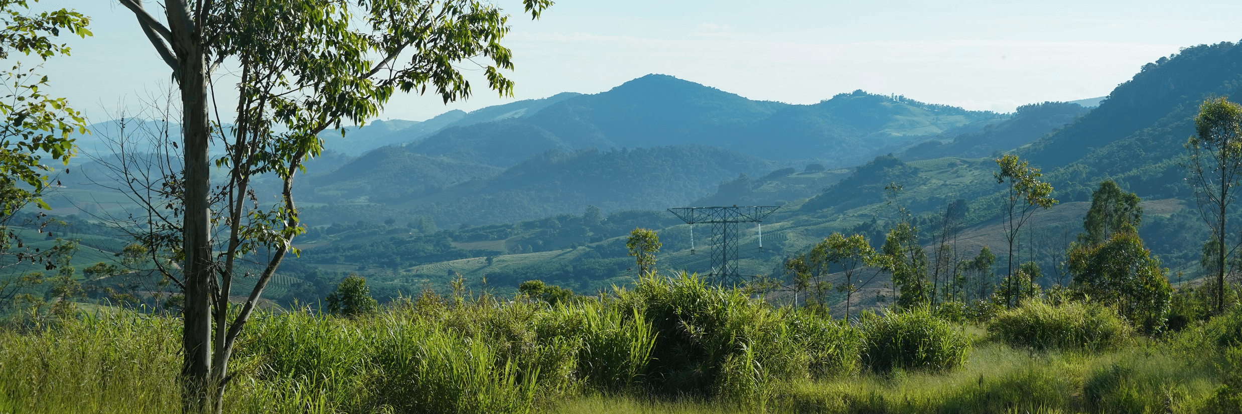 Sakleshpur with Kids: A Parent’s Guide to a Safe Summer Vacation 