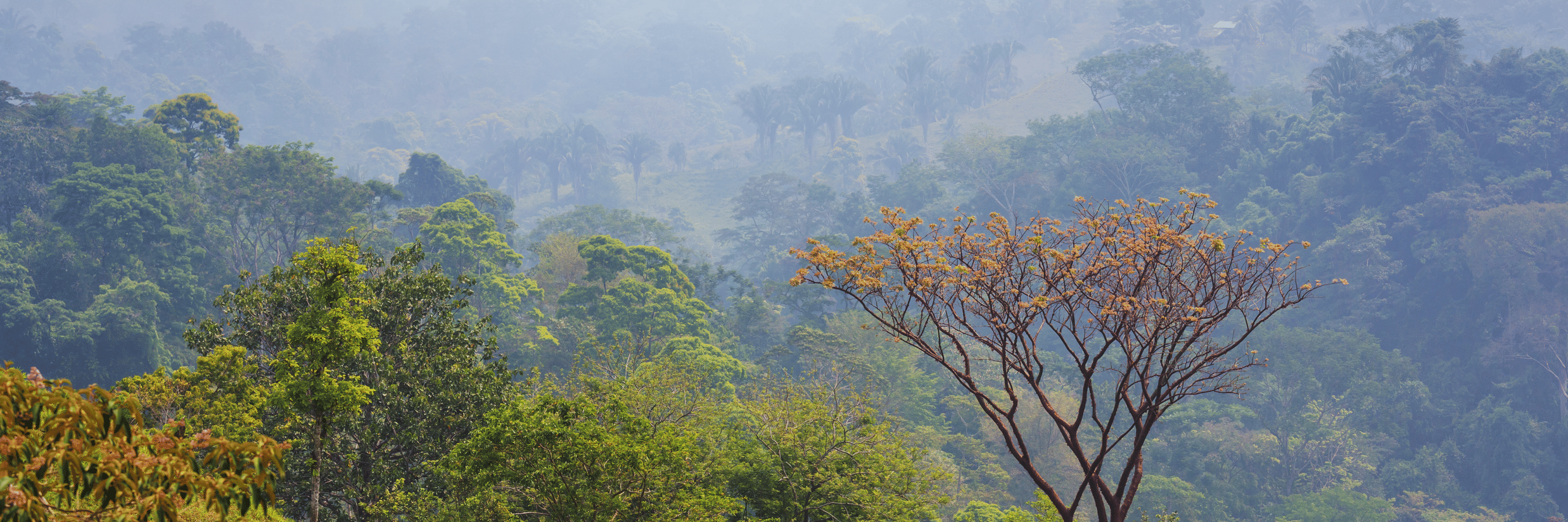 The 3-Day “Slow Travel” Summer Itinerary for Sakleshpur 