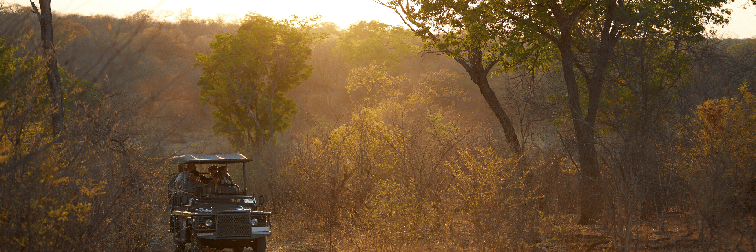 What to Pack for a Jungle Safari in April/May 