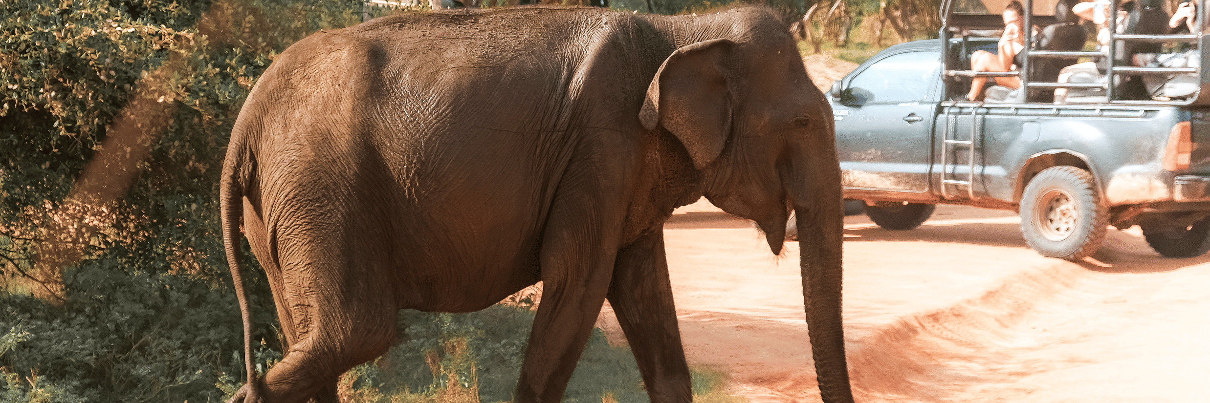 Perfect 2-Day Weekend Getaway Itinerary from Bangalore to Nagarhole