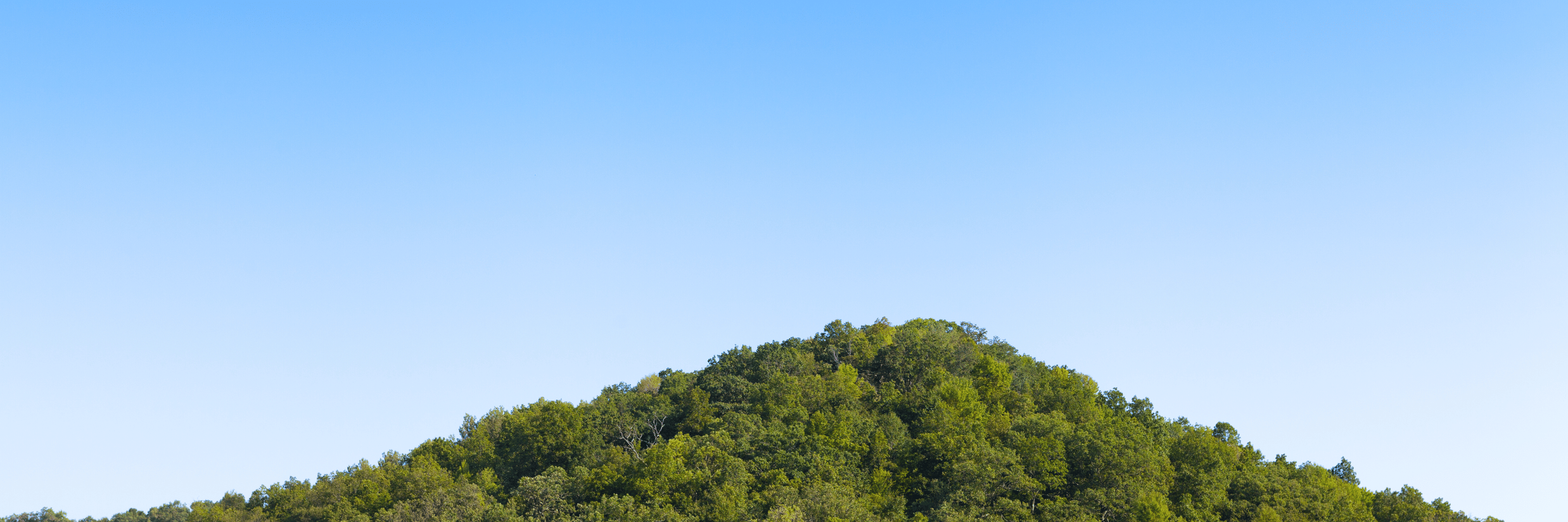 Why Pandavar Gudda is a Must-Visit Spot in Sakleshpur