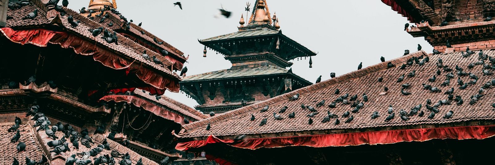 section of Kathmandu Durbar Square in Nepal, featuring traditional Newari architecture with tiered red roofs heavily populated by pigeons.