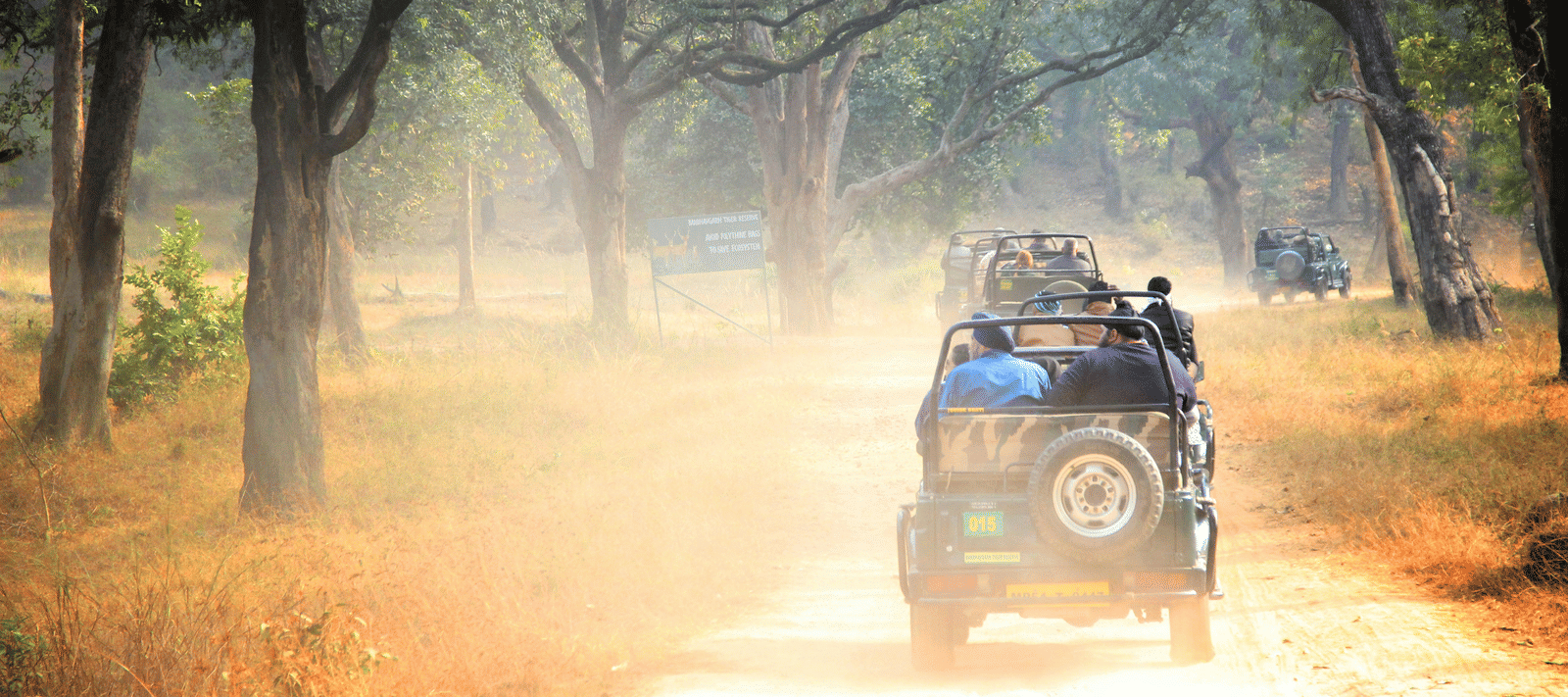 A safari jeep travelling along a dusty woodland track beneath tall trees, with morning light filtering softly through mist above