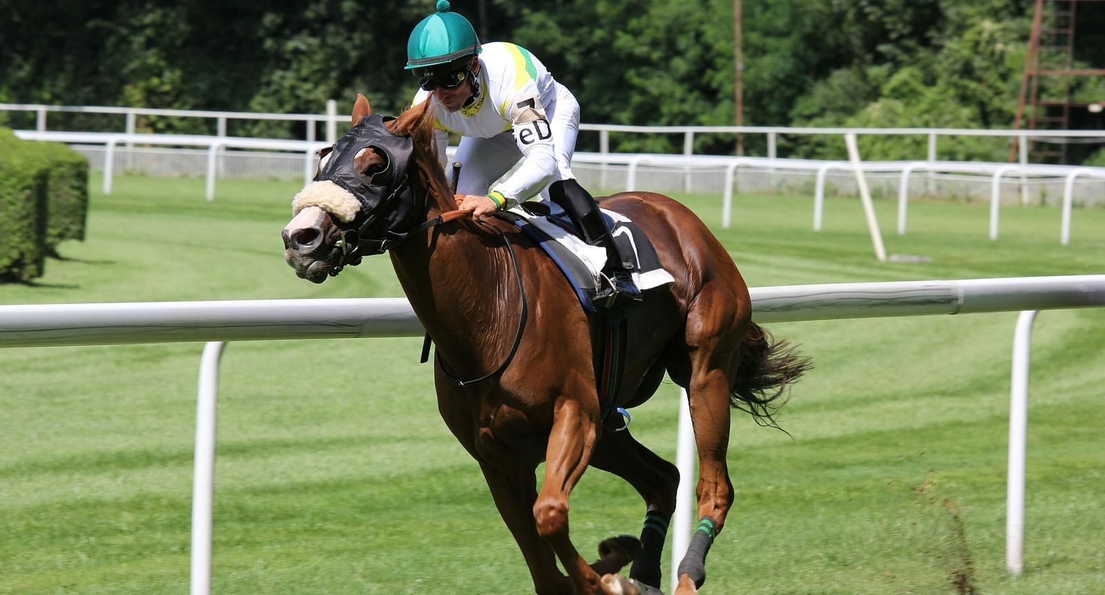 An image of a race course where a man is riding a horse