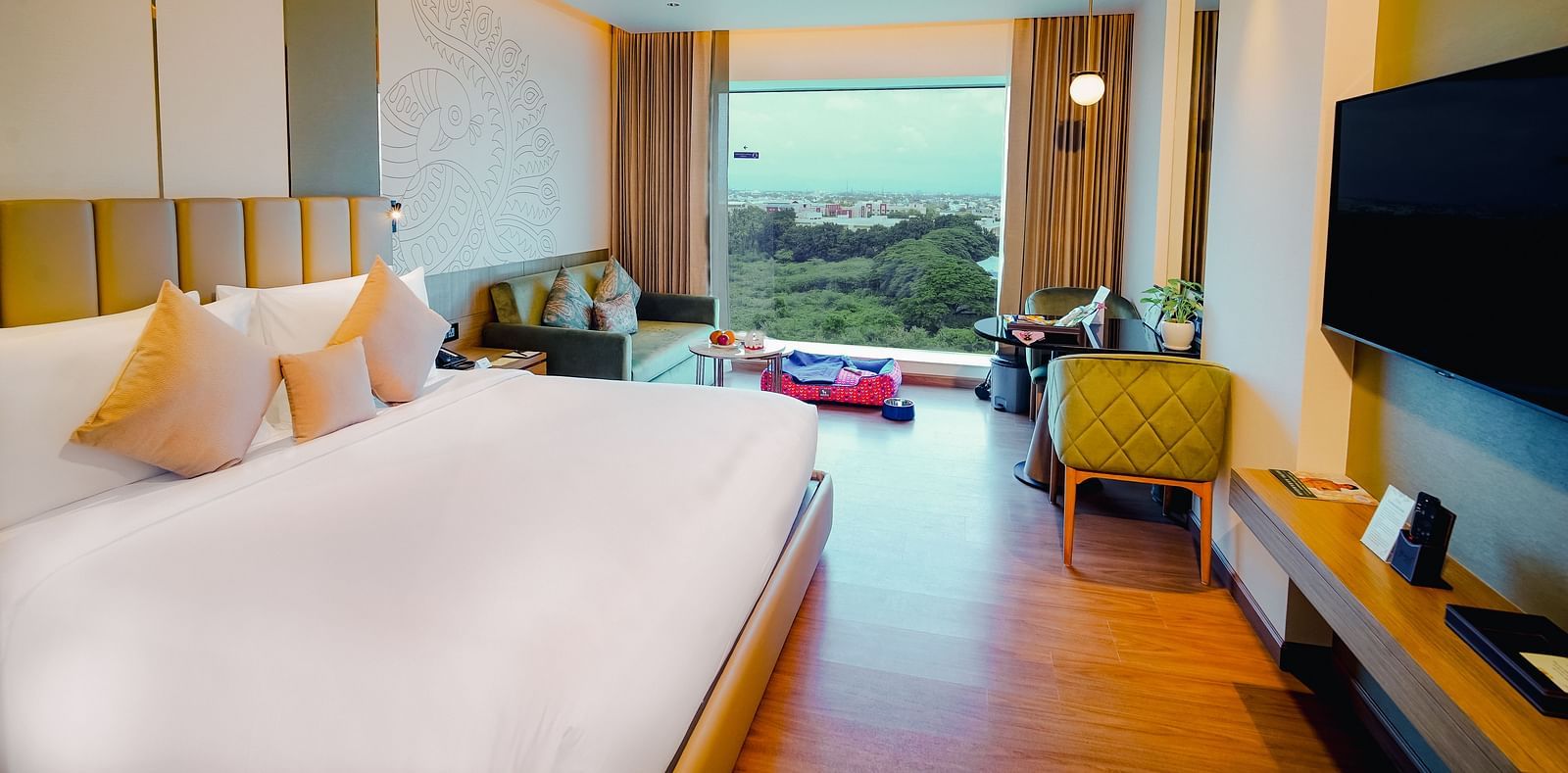 Pet Friendly room (1)
