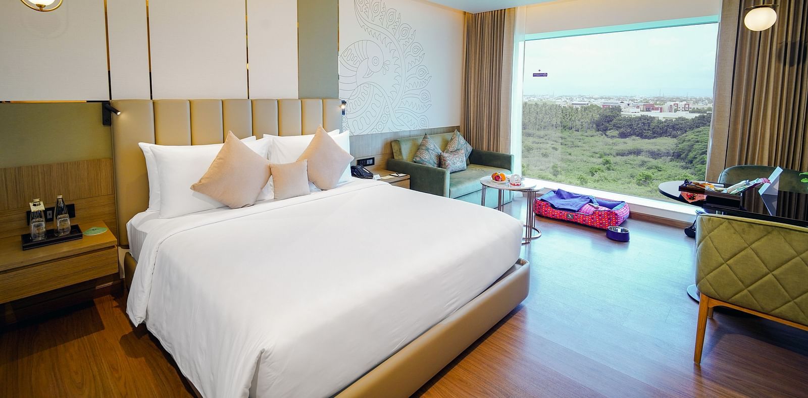 Pet Friendly room (2)