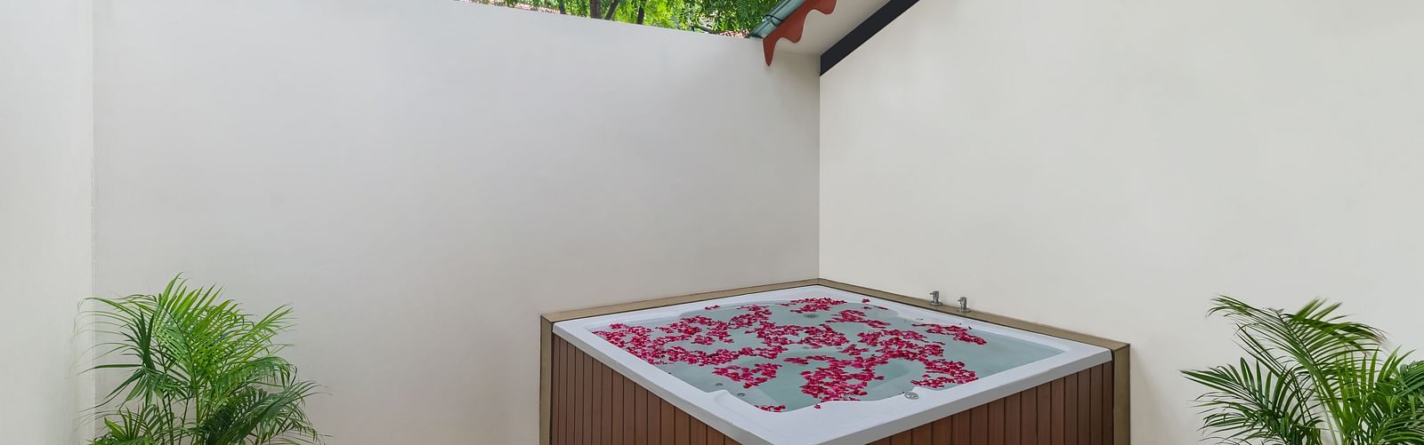 image featuring an outdoor Jacuzzi with two pots with lush green bushes along with rose petals spread across the water at the luxury family suite in aranya vilas 