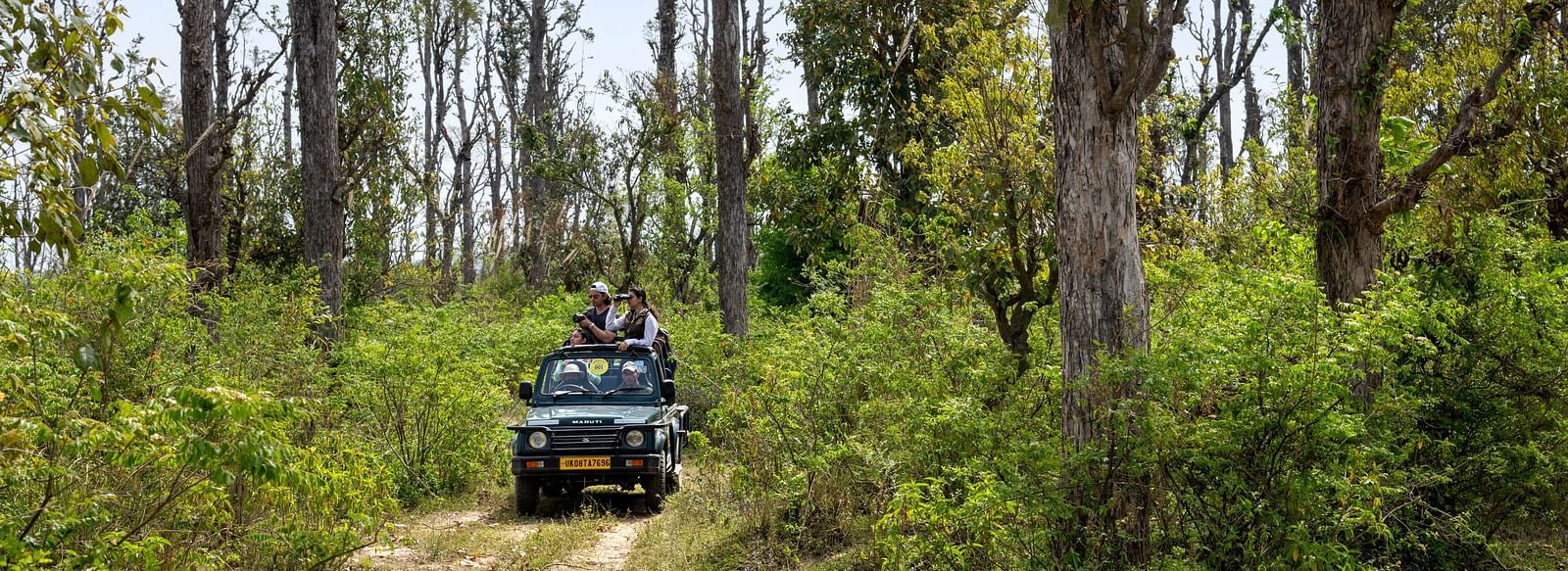 A safari car going through the Rajaji National Park near our resort in Haridwar - Aalia Jungle Resort & Spa