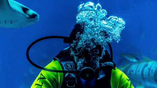 A close up of a scuba diver wearing full gear with a fish swimming close to him.