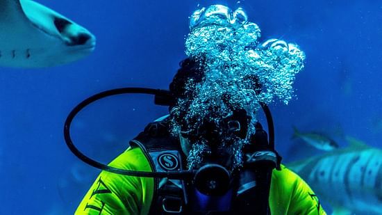 Scuba diver with a fish 