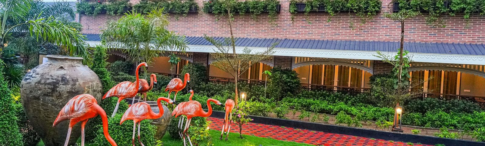   Lawn at Mayfair Oasis Resort & Convention