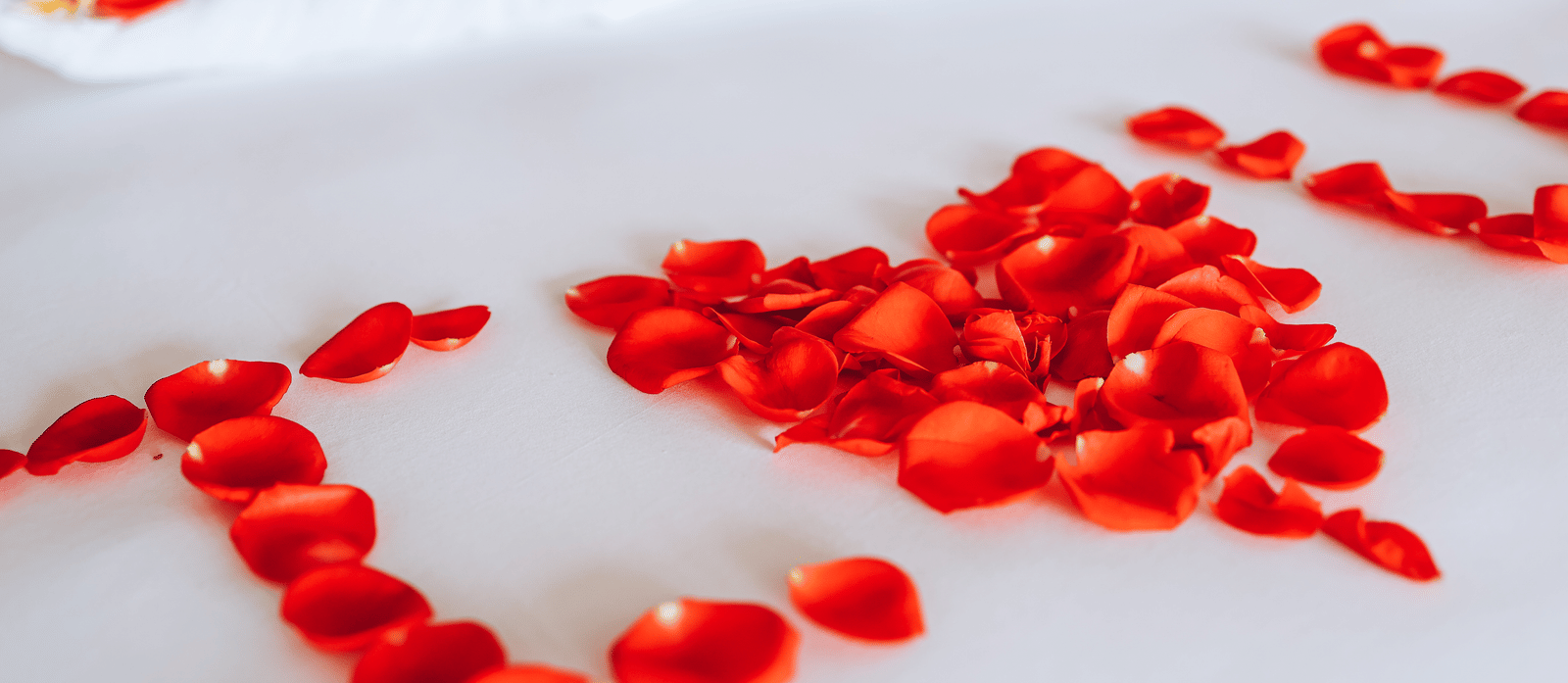 Flower petals decorated on a bed