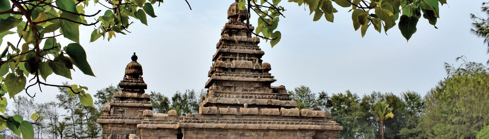 View of a historic temple with detailed carvings seen from the shade of a tree