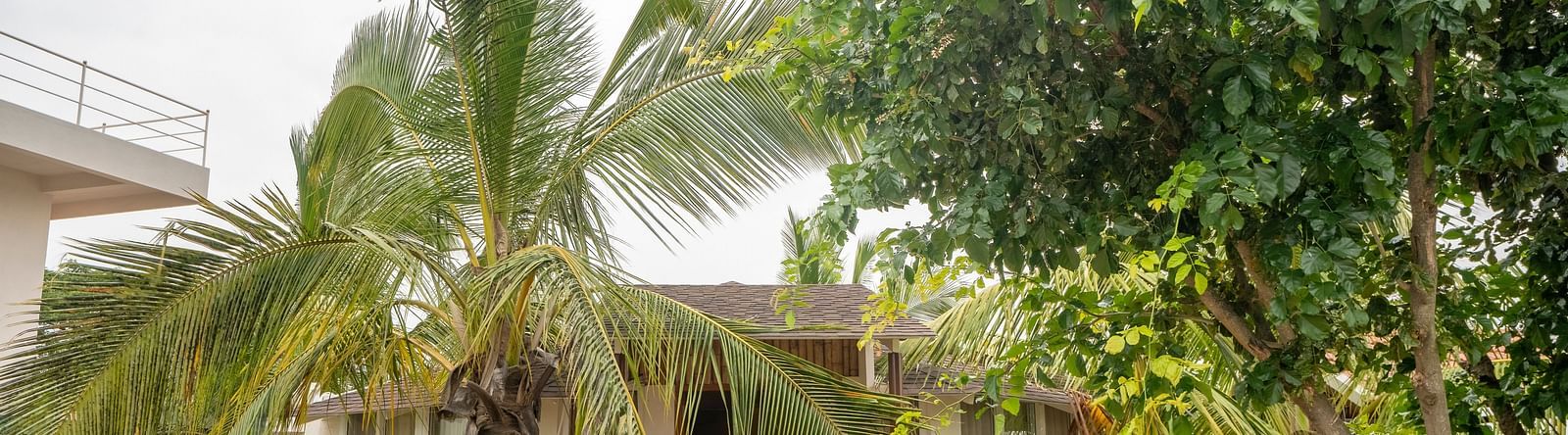 Side view image of resort property with palm tree
