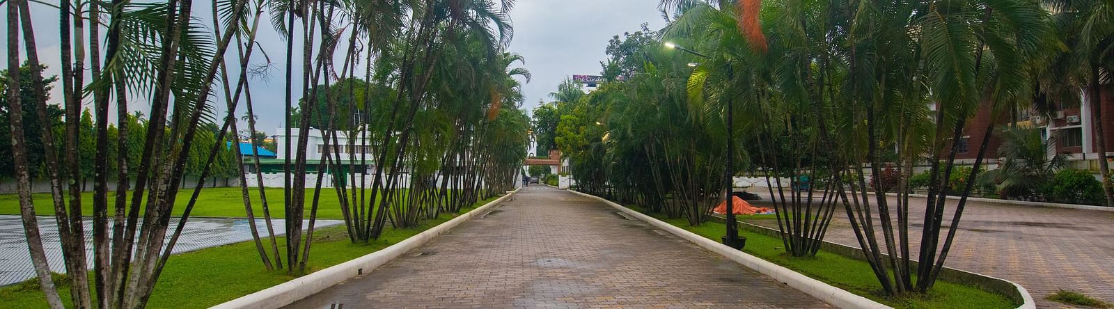 A pathway leading to the hotel - The Cindrella Hotel, Siliguri