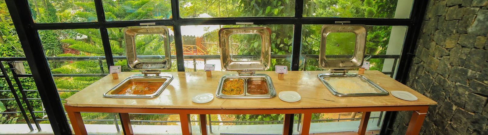 Image a buffet table with view of the trees in front at WOW Bison Woods. 