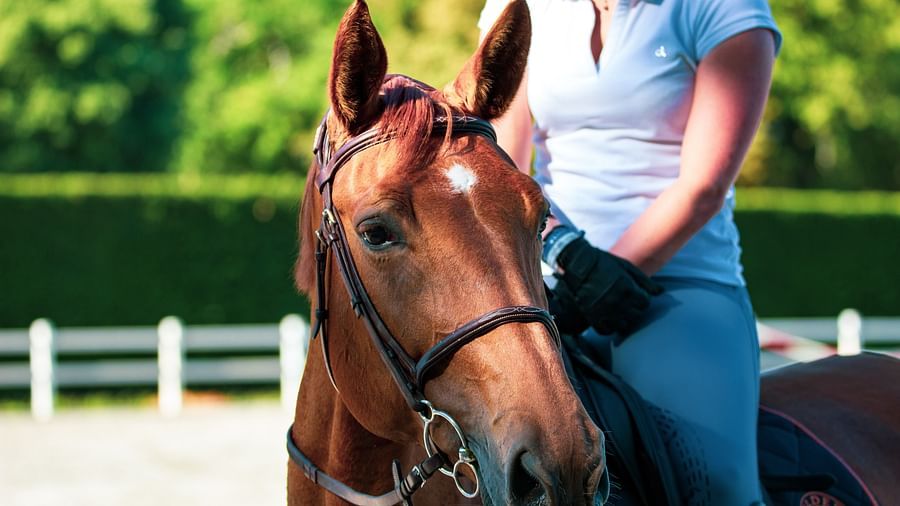a woman riding a horse