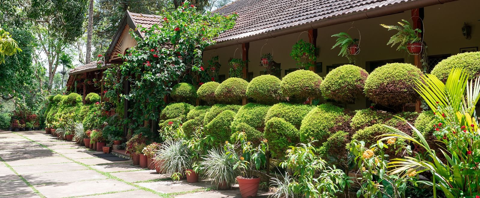 Exterior of a building with a thatched roof and lush green landscaping - BluSalzz Collection - Tranquil Resort, Wayanad