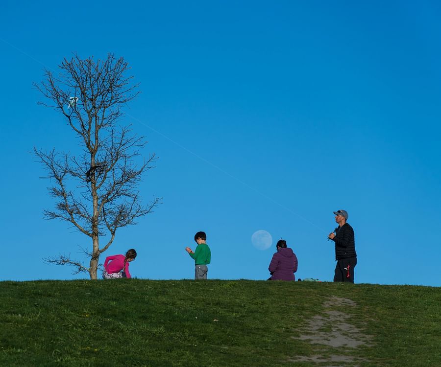 alt-text A group of 4 people relaxing and playing in a green hill top, with a single tree in the view.