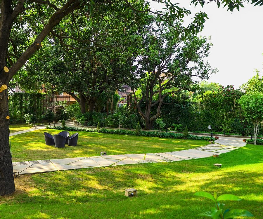 Lawn with wooden chairs