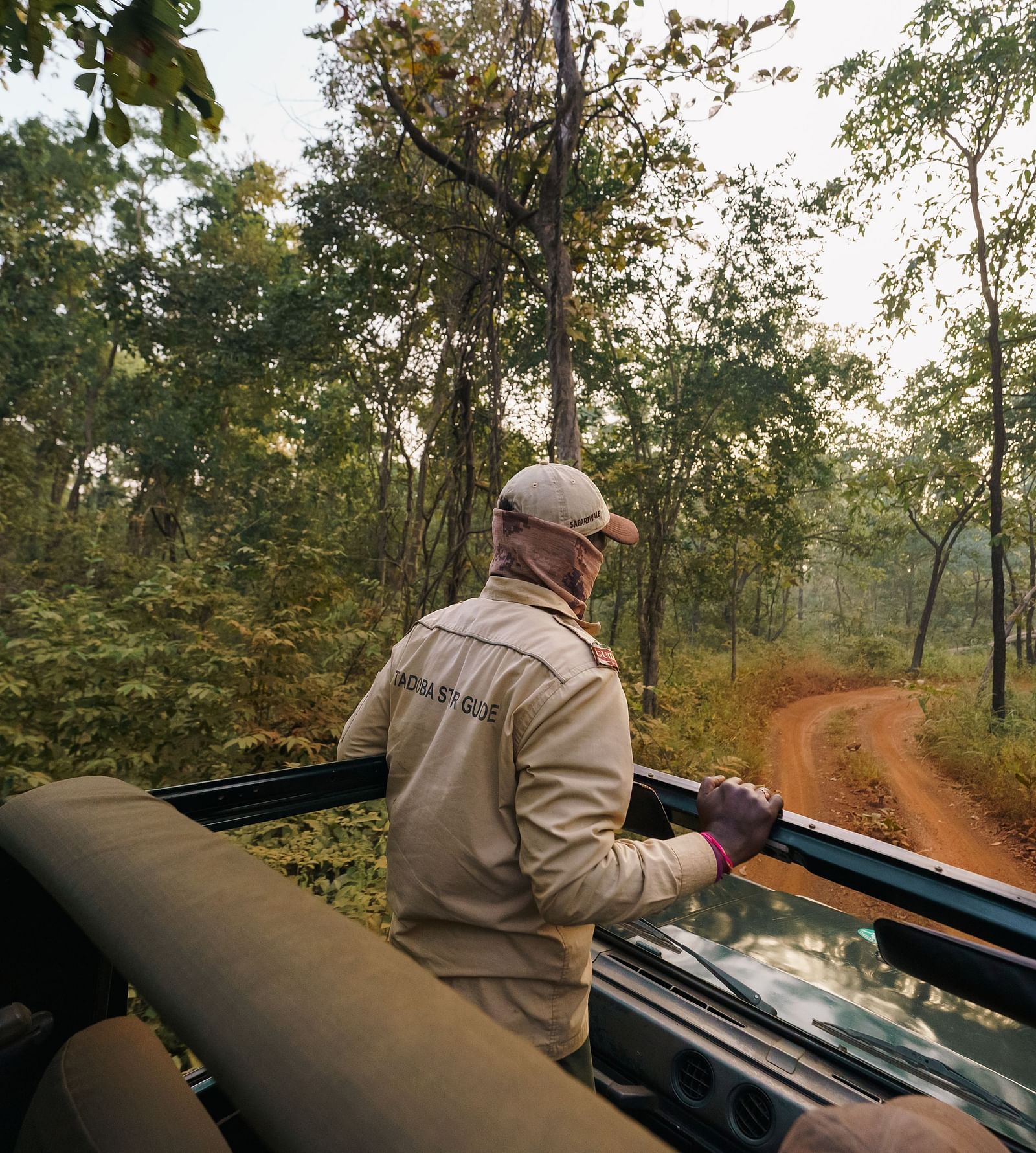 A view from the jeep of a guide standing up on the jeep Safari - Trees N Tigers, Tadoba.