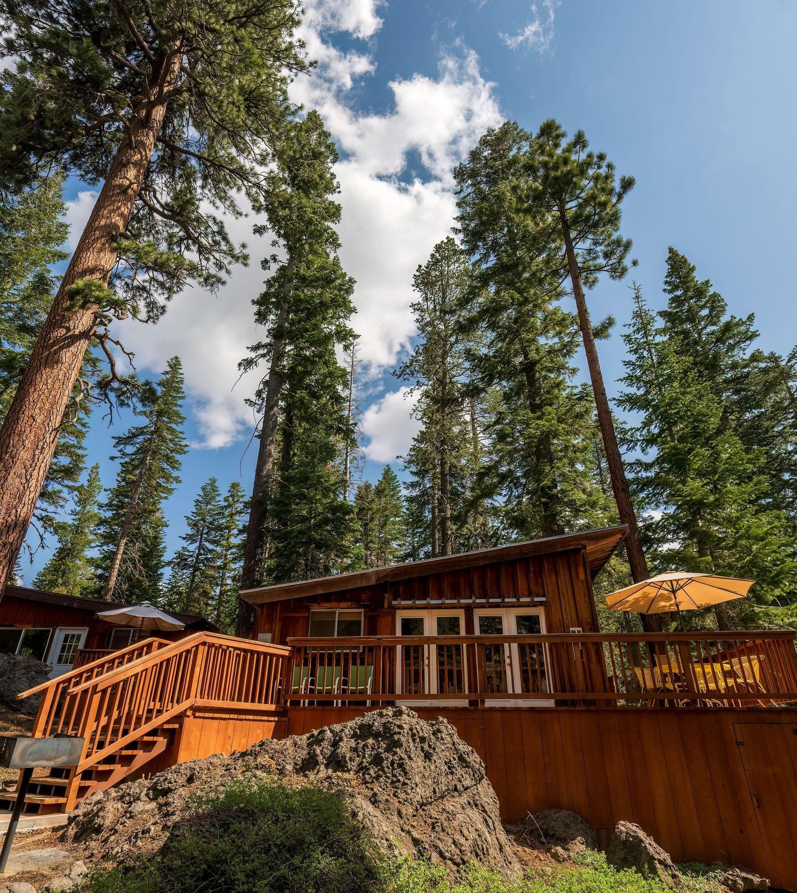 Scenic view of tall pines and cabin exteriors at Kit Carson Lodge.