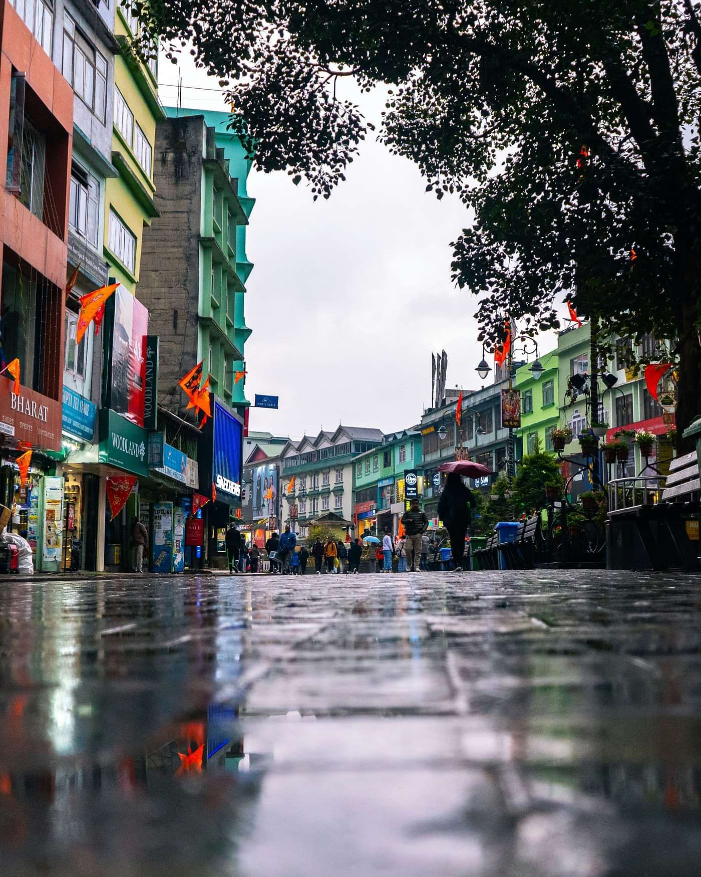 utkarsh-tiwari-fFvRCjaMBOc-unsplash