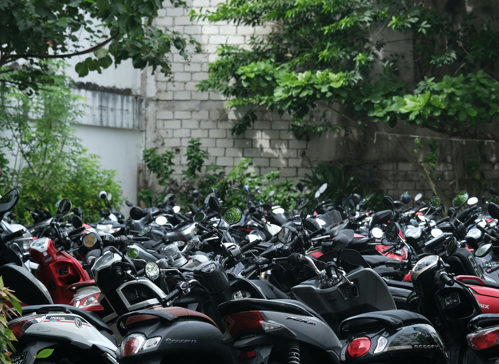 An outdoor parking lot filled with a large number of scooters and motorcycles, with a stone wall, and trees in the background.