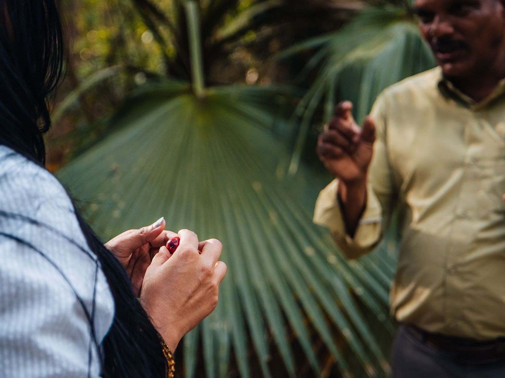 A lady inspecting a seed in a calm, green environment as a guide explains.