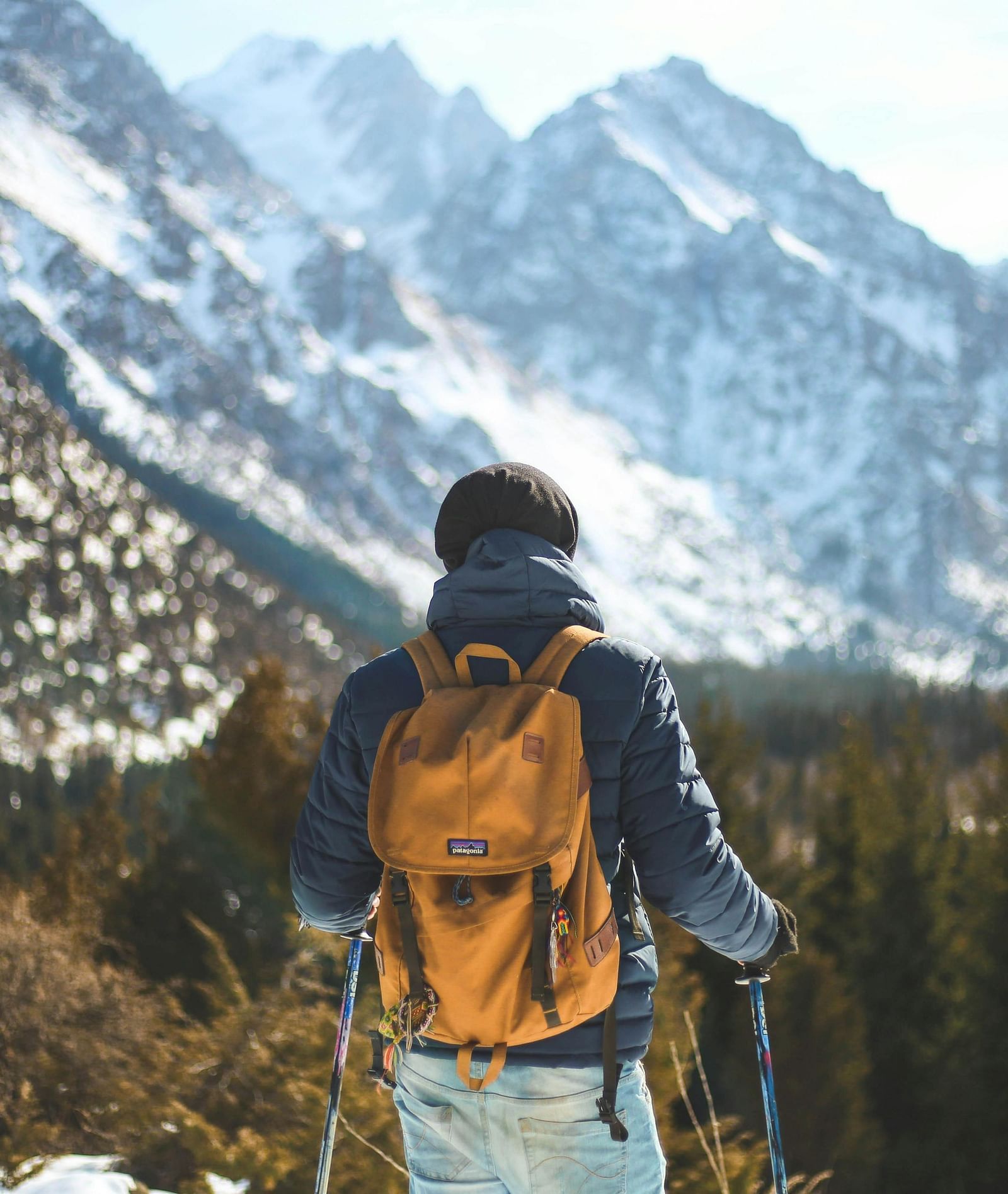 A person with a hiking backpack looking at views of snow-capped mountains.