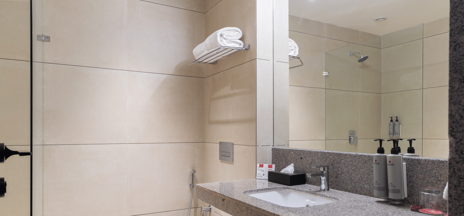 Deluxe Room Washroom