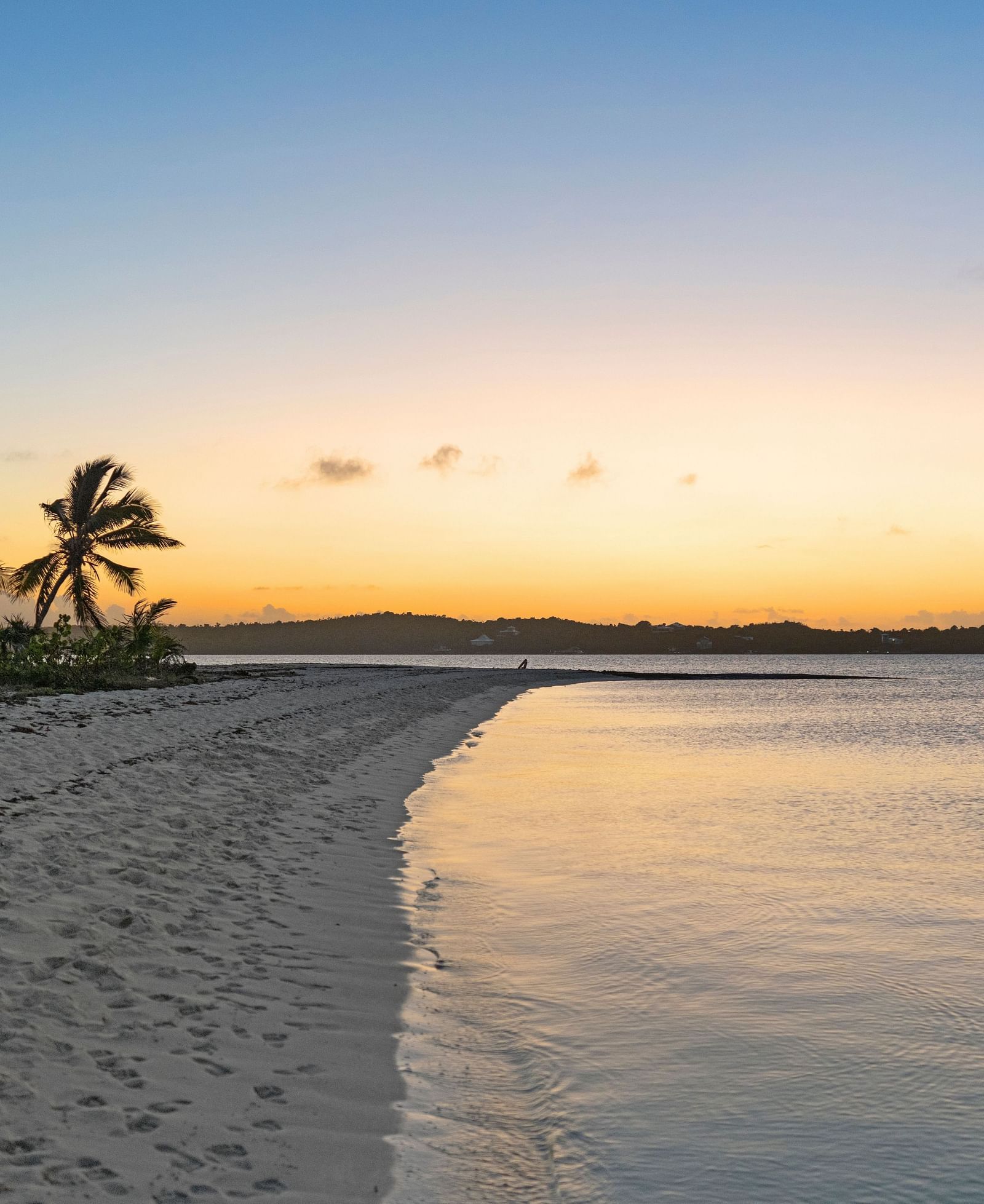 A sandy shoreline with gentle waves and palm trees, captured at sunset as the golden light reflects on the wet sand | Abaco Inn