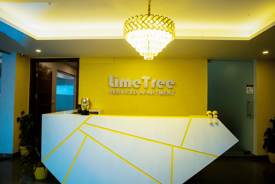 Lime Tree Luxury Studio — photo 2