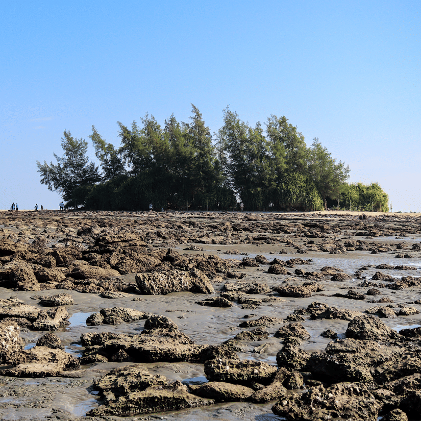 Numerous small reefs at a marine national park with small shrubs growing in the back under a clear blue sky.