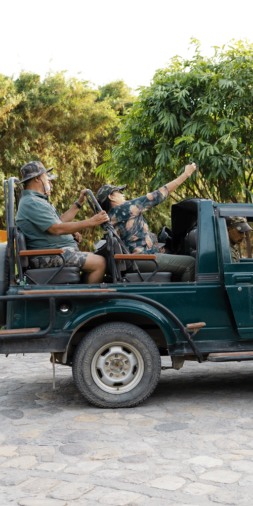 Wildlife Safaris and Luxury Stays Create the Perfect Vacation