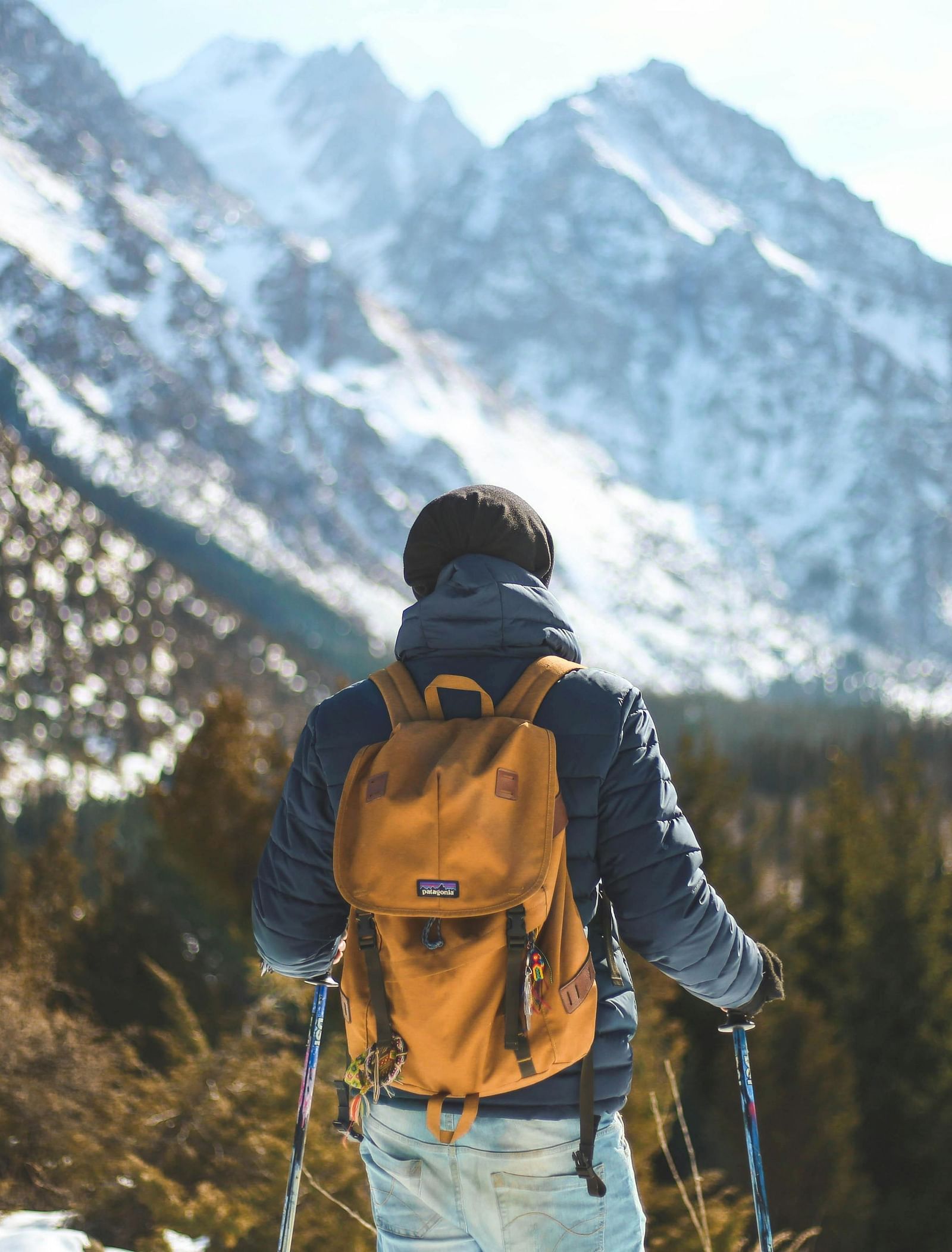 A person with a hiking backpack looking at views of snow-capped mountains.