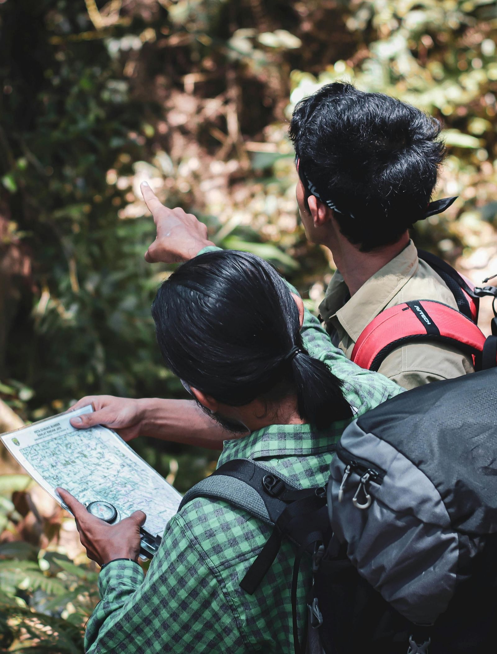 A guide checking a map in a forest while trekking. 
