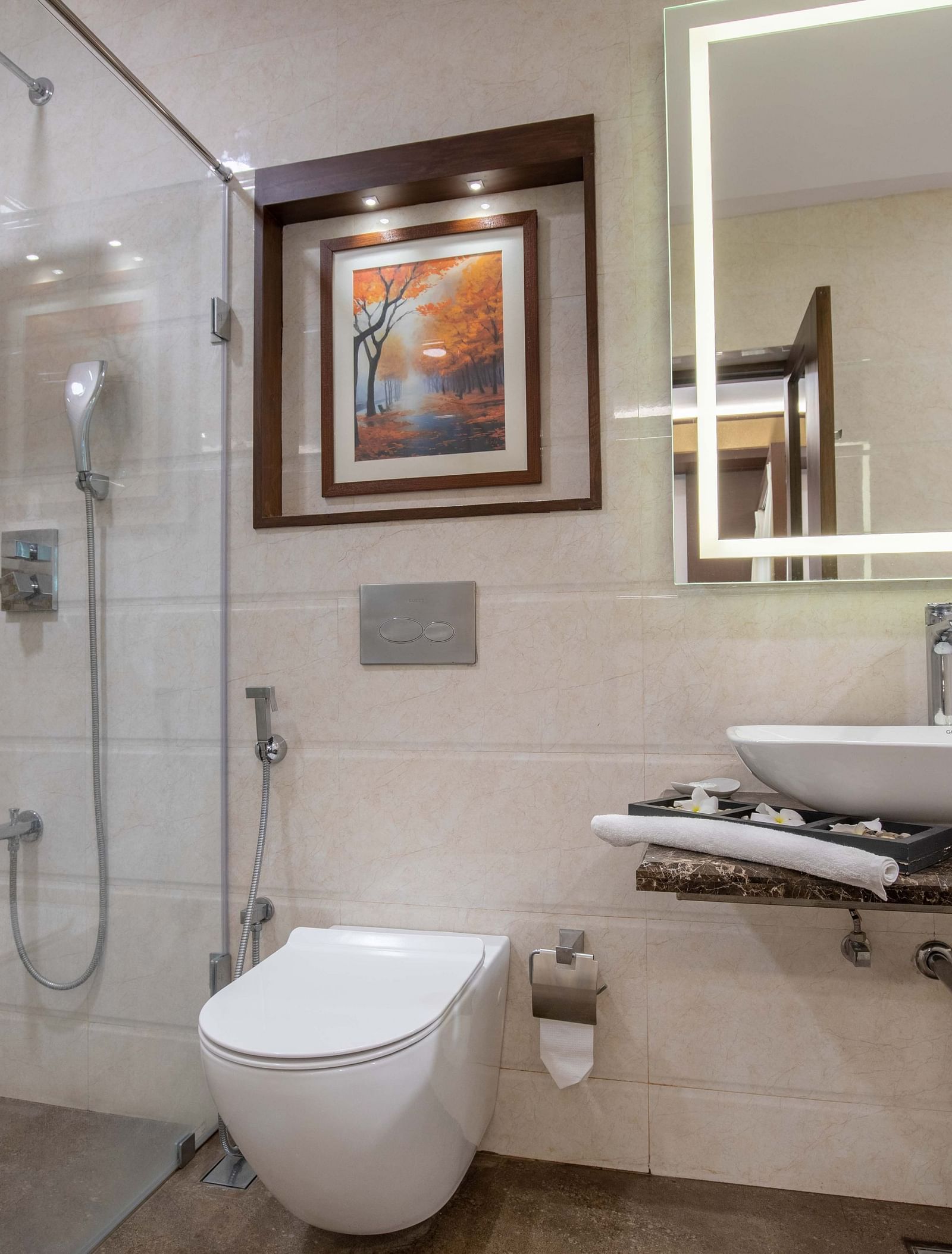 deluxe room washroom 