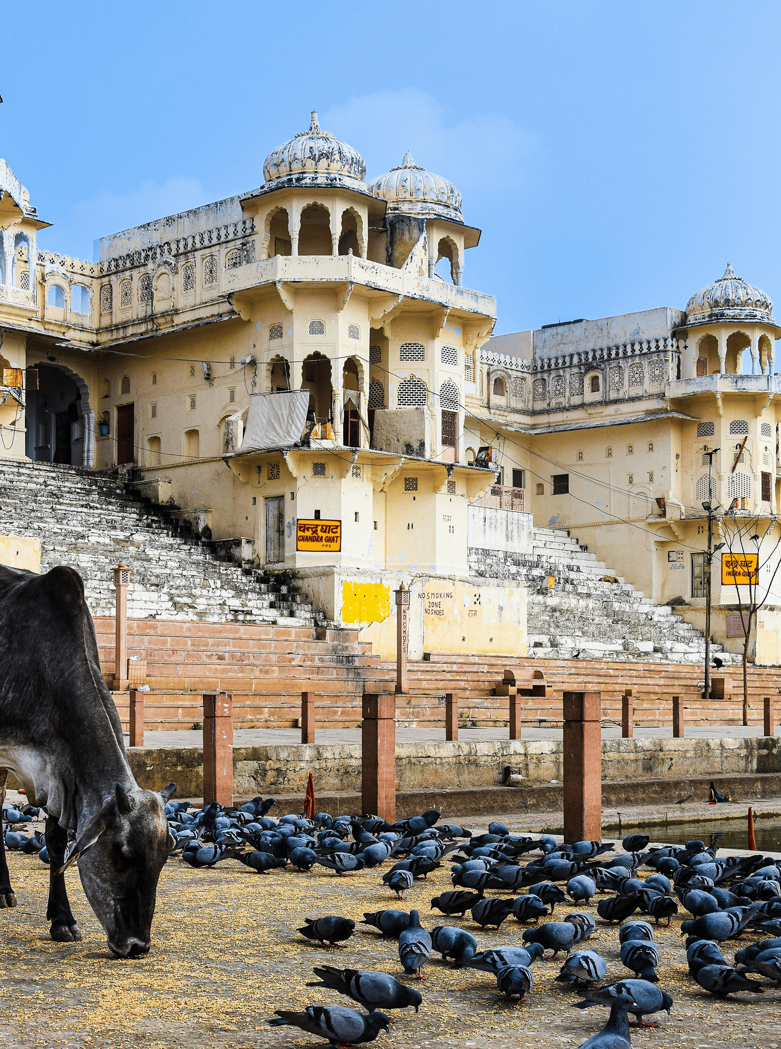Pushkar Camel Fair 2026 | Dates, Events, and Visitor Guide
