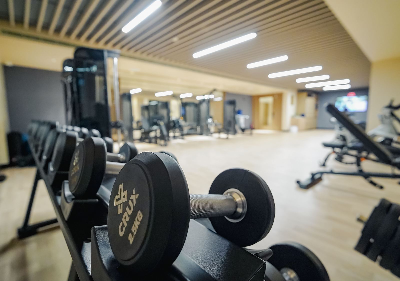 A close up image of the dumbbells in our Madurai gym - Grand Madurai by GRT Hotels