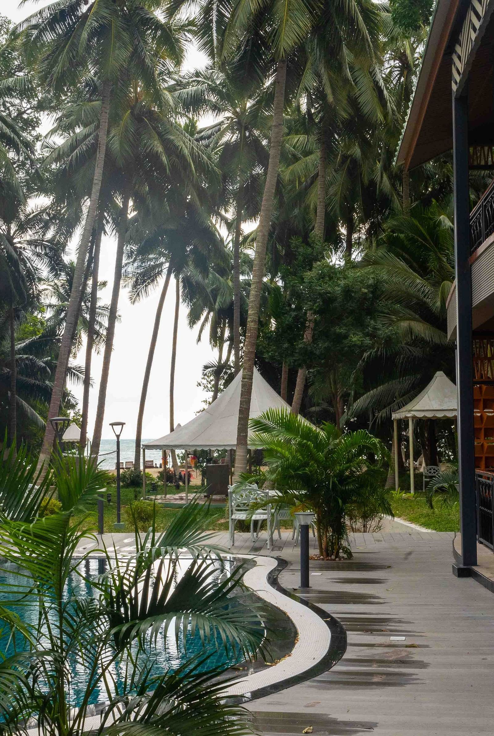 A view of a modern pool area with tropical palm trees surrounding the space. The architecture of the building is visible, providing a relaxing and elegant setting - Coral Reef Resort & Spa, Havelock