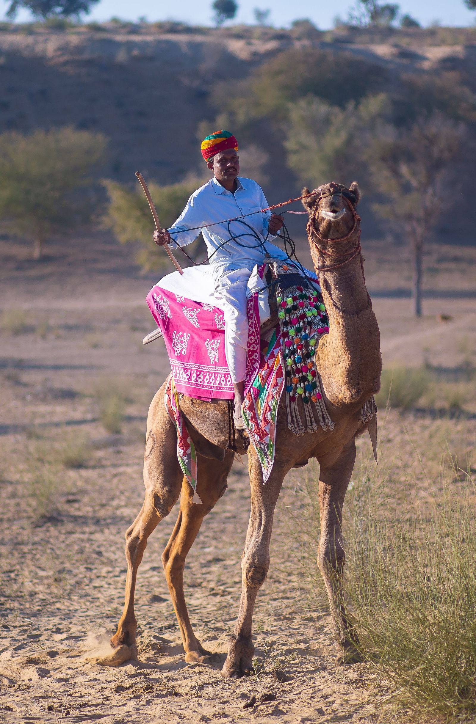 A caretaker riding his camel through the desert - MANVAR Resort & Desert Camp.