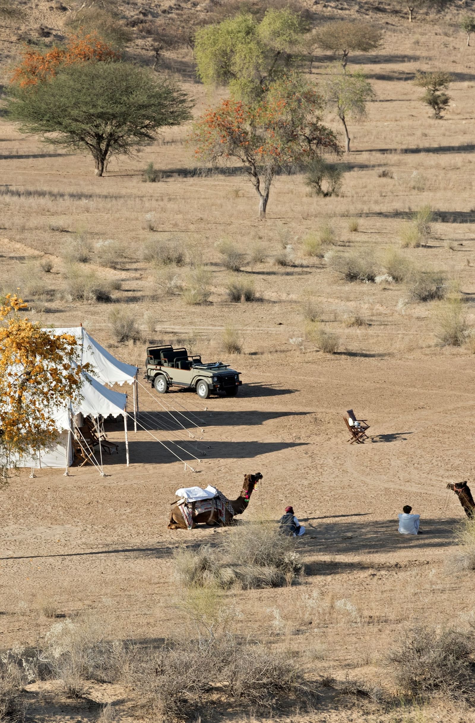 An image of a desert region with two tents set up for camping, camels, a jeep and few trees around - MANVAR Resort & Desert Camp