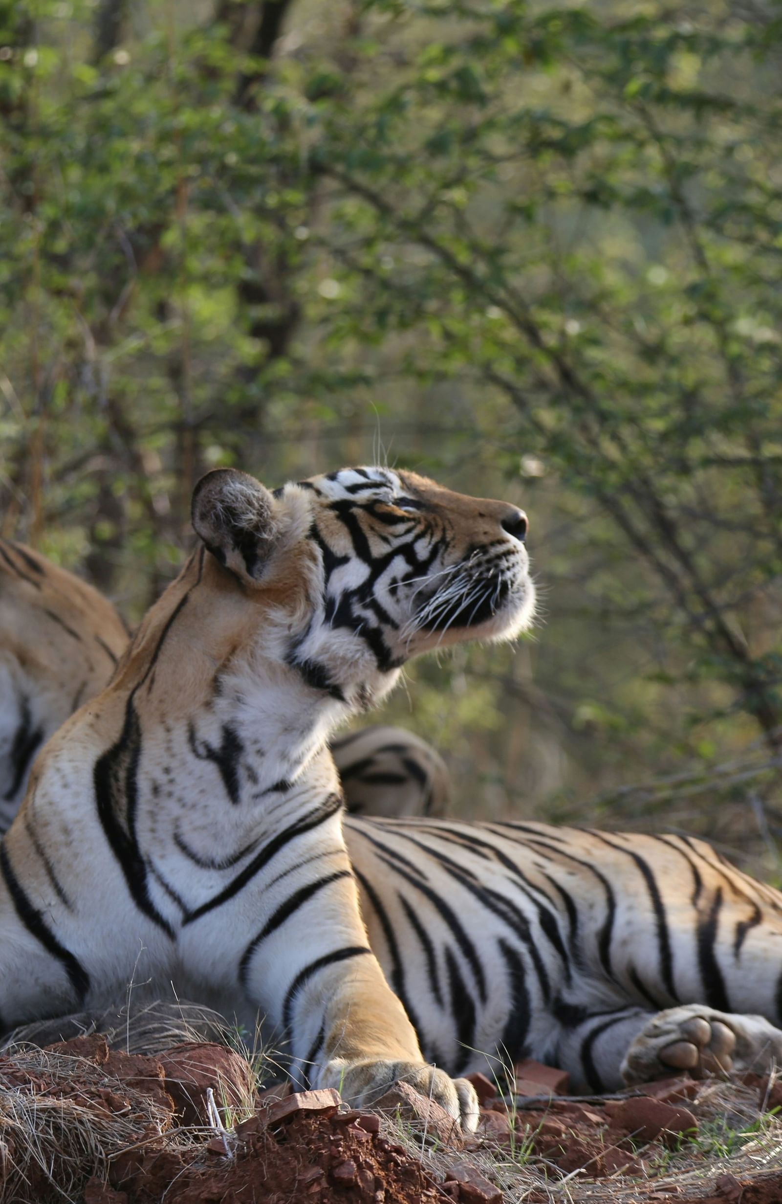 hrishikesh-gangoli-L4hUijlGEX4-unsplash